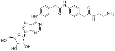 Adenosine Amine Congener