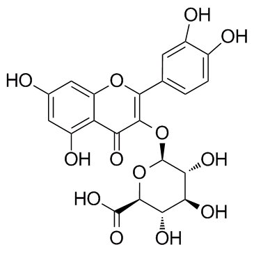 Miquelianin (Quercetin 3-O-glucuronide)